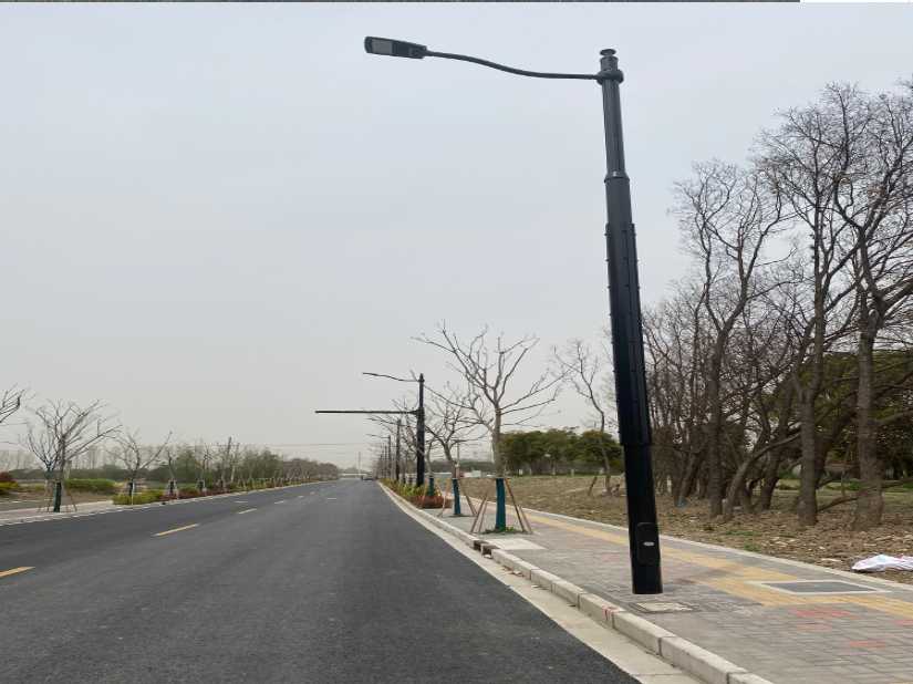 扶沟县上海综合杆 太阳能路灯工程
